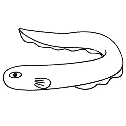 電鰻怎么畫 電鰻簡(jiǎn)筆畫步驟 電鰻怎么畫 電鰻簡(jiǎn)筆畫步驟