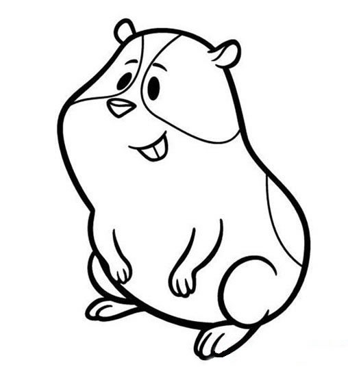 卡通豚鼠簡(jiǎn)筆畫(huà) 卡通豚鼠簡(jiǎn)筆畫(huà)