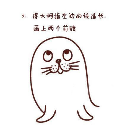 可愛涂色的海豹簡筆畫教程