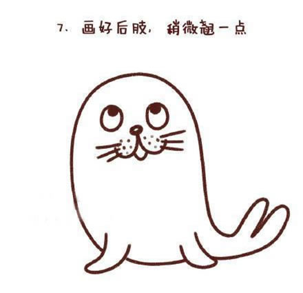 可愛涂色的海豹簡筆畫教程