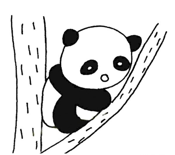 爬樹的大熊貓簡筆畫