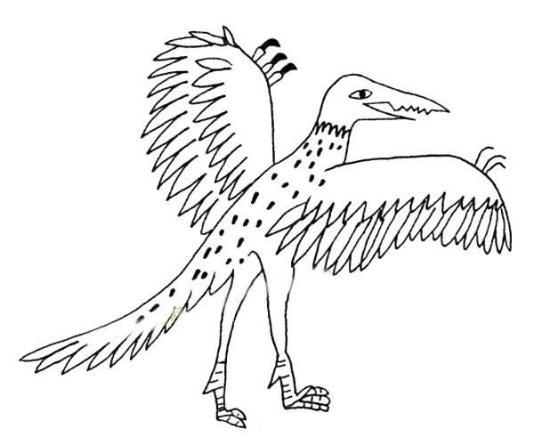 煽動(dòng)翅膀的翼龍簡(jiǎn)筆畫(huà)