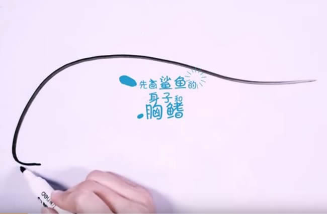 兇狠的鯊魚簡筆畫教程