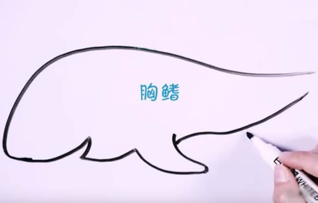 兇狠的鯊魚簡筆畫教程