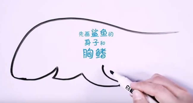 兇狠的鯊魚簡筆畫教程