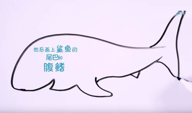 兇狠的鯊魚簡筆畫教程