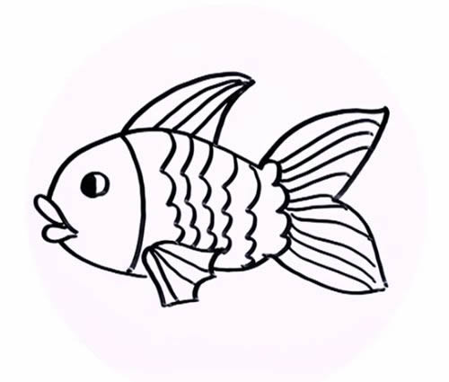 金魚的簡筆畫步驟詳解