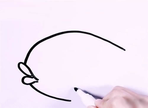 金魚的簡筆畫步驟詳解