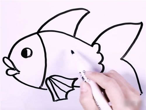 金魚的簡筆畫步驟詳解