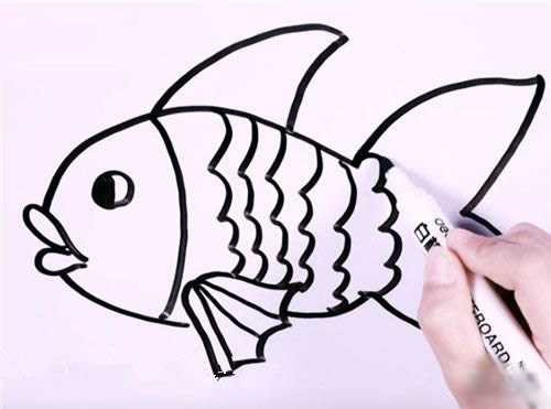 金魚的簡筆畫步驟詳解
