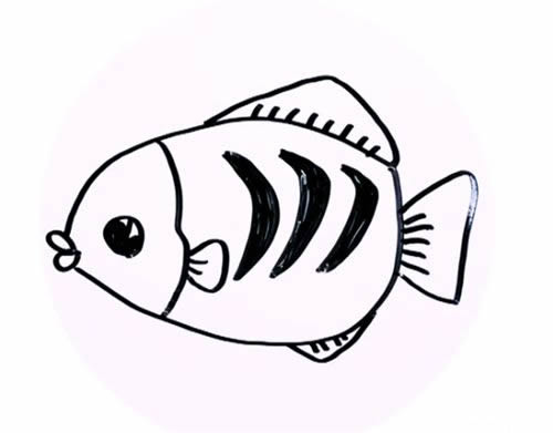花斑魚簡筆畫步驟教程