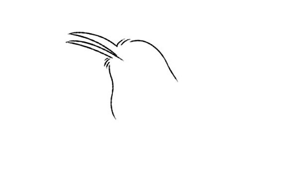 小喜鵲簡(jiǎn)筆畫(huà)步驟教程