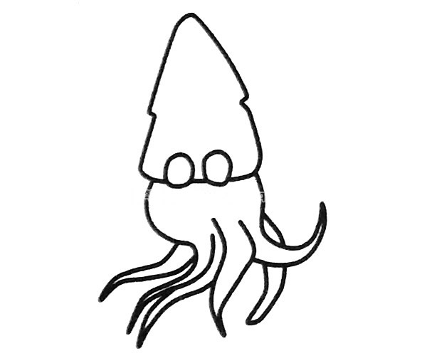 教你畫一只簡單的魷魚 教你畫一只簡單的魷魚