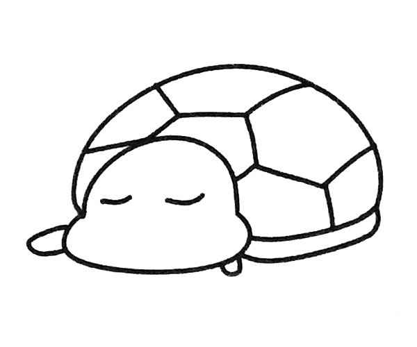 6款卡通烏龜簡筆畫大全