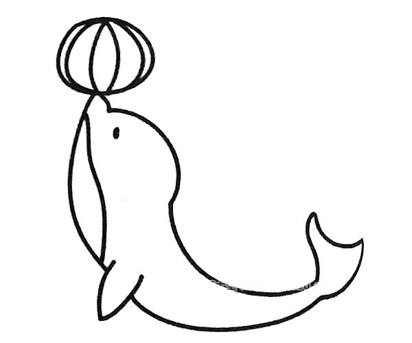 6款可愛的海豚簡筆畫大全
