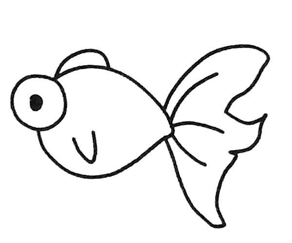 6款卡通金魚簡筆畫大全