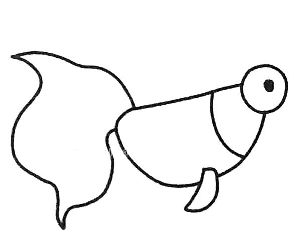 6款卡通金魚簡筆畫大全