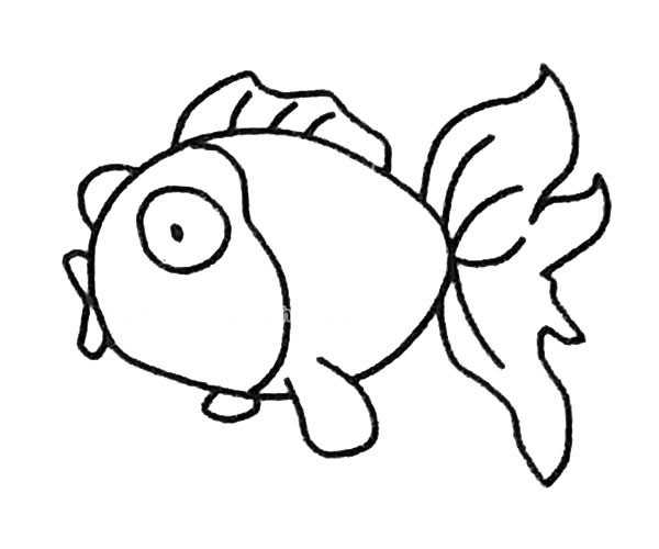 兒童學畫金魚簡筆畫步驟