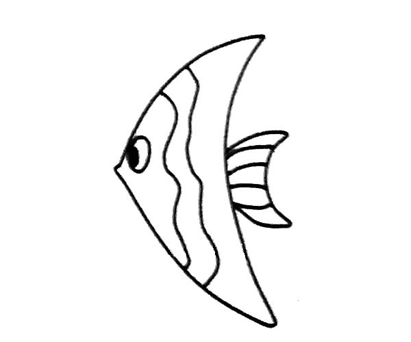 一看就會的神仙魚簡筆畫