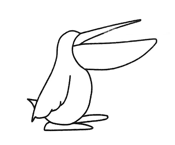 吃魚的鵜鶘簡(jiǎn)筆畫步驟