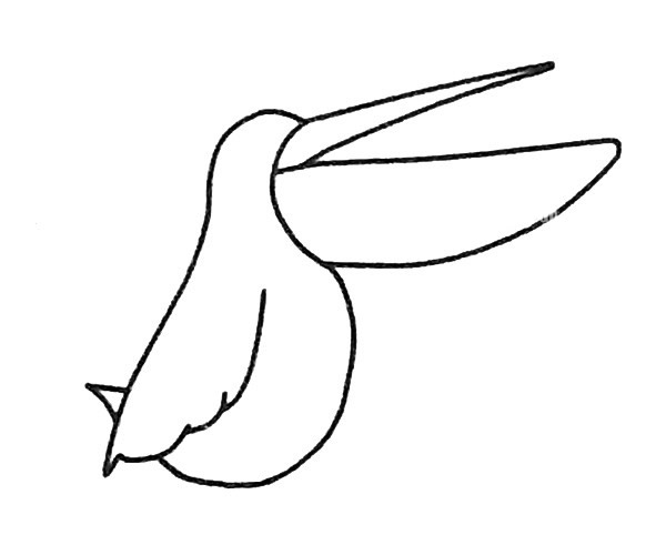 吃魚的鵜鶘簡(jiǎn)筆畫步驟