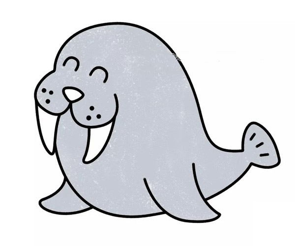 開(kāi)心的海象卡通簡(jiǎn)筆畫