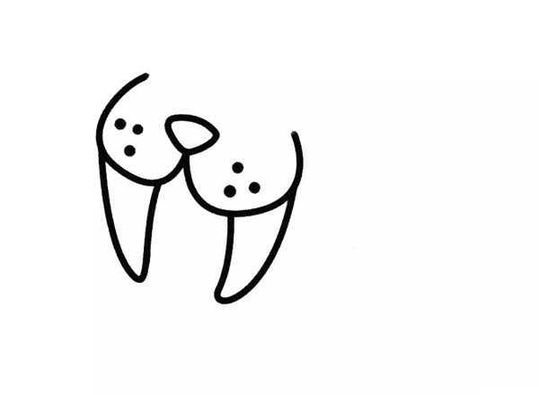 開(kāi)心的海象卡通簡(jiǎn)筆畫