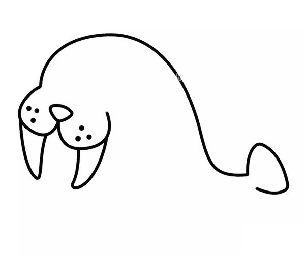 開(kāi)心的海象卡通簡(jiǎn)筆畫