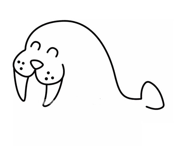 開(kāi)心的海象卡通簡(jiǎn)筆畫