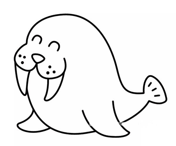 開(kāi)心的海象卡通簡(jiǎn)筆畫