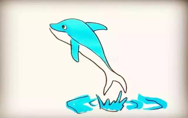 跳出水面的可愛海豚簡筆畫