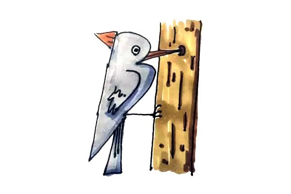教你用數字畫一只啄木鳥