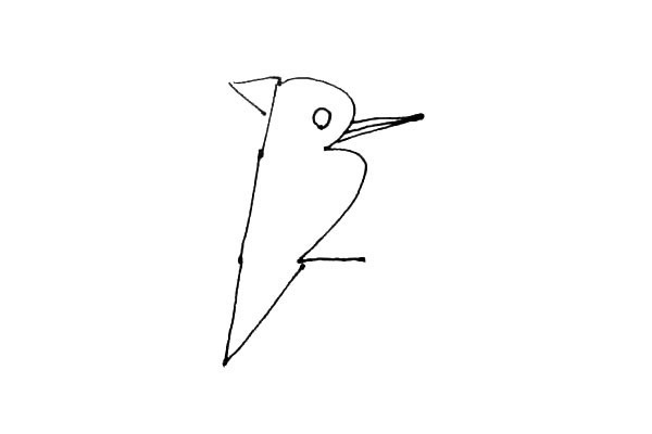 教你用數字畫一只啄木鳥