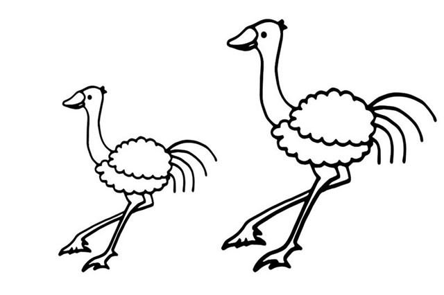 分享一組鴕鳥的簡筆畫