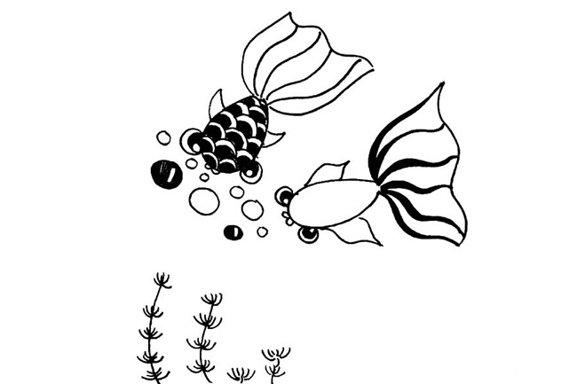 海底漂亮的金魚(yú)簡(jiǎn)筆畫(huà)