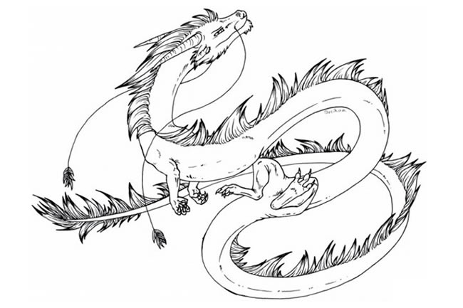 關(guān)于中國龍的簡筆畫