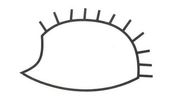 刺猬怎么畫(huà) 涂色的刺猬簡(jiǎn)筆畫(huà)