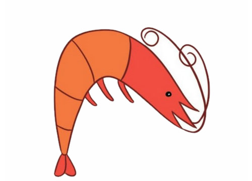 紅色小蝦簡(jiǎn)筆畫 紅色小蝦簡(jiǎn)筆畫