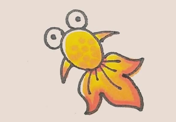 涂色的金魚簡筆畫教程