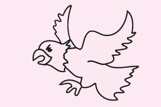 關(guān)于老鷹的簡(jiǎn)單畫法