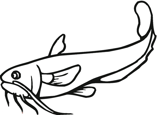 鯰魚兒童簡(jiǎn)筆畫 鯰魚兒童簡(jiǎn)筆畫