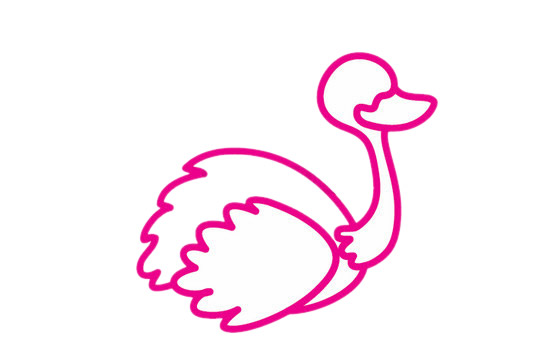 一步步教你畫簡單的鴕鳥