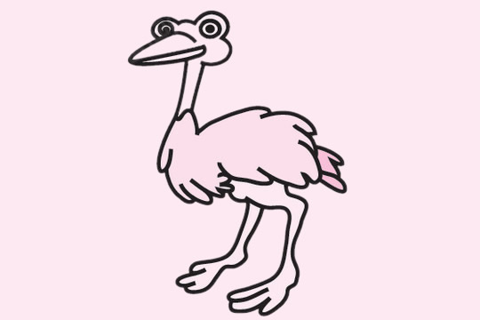 4張鴕鳥(niǎo)簡(jiǎn)筆畫(huà)大全 4張鴕鳥(niǎo)簡(jiǎn)筆畫(huà)大全