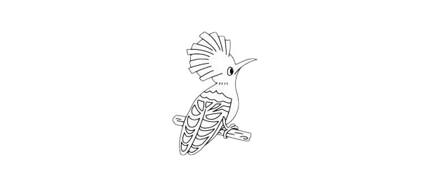 戴勝鳥兒童簡筆畫