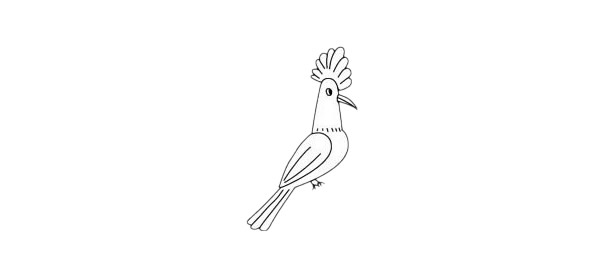戴勝鳥(niǎo)怎么畫(huà)簡(jiǎn)單又好看 戴勝鳥(niǎo)怎么畫(huà)簡(jiǎn)單又好看