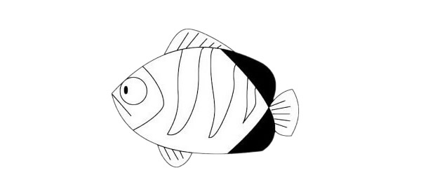 蝴蝶魚兒童簡筆畫