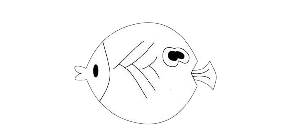蝴蝶魚怎么畫最簡單