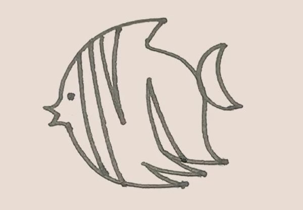 涂色的熱帶魚簡筆畫教程