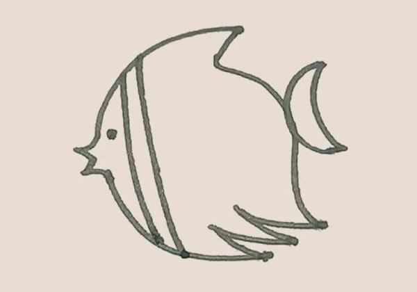 涂色的熱帶魚簡筆畫教程