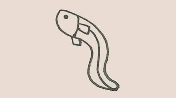 鰻魚簡筆畫步驟教程